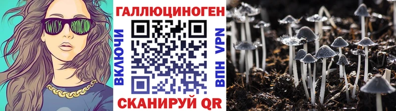 Псилоцибиновые грибы Psilocybe  где найти наркотики  Кедровый 