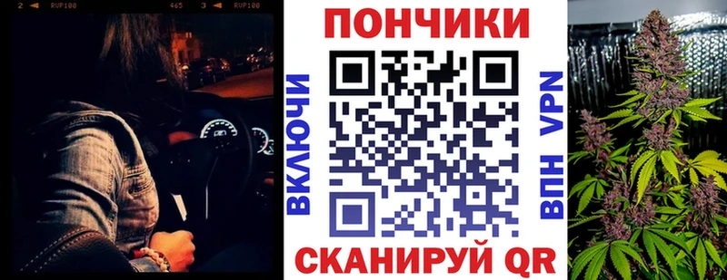 купить закладку  Кедровый  Конопля MAZAR 